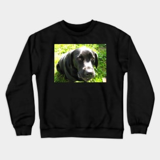 Grins Crewneck Sweatshirt